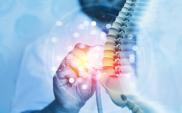 Neurological Structural Vitals Monitoring